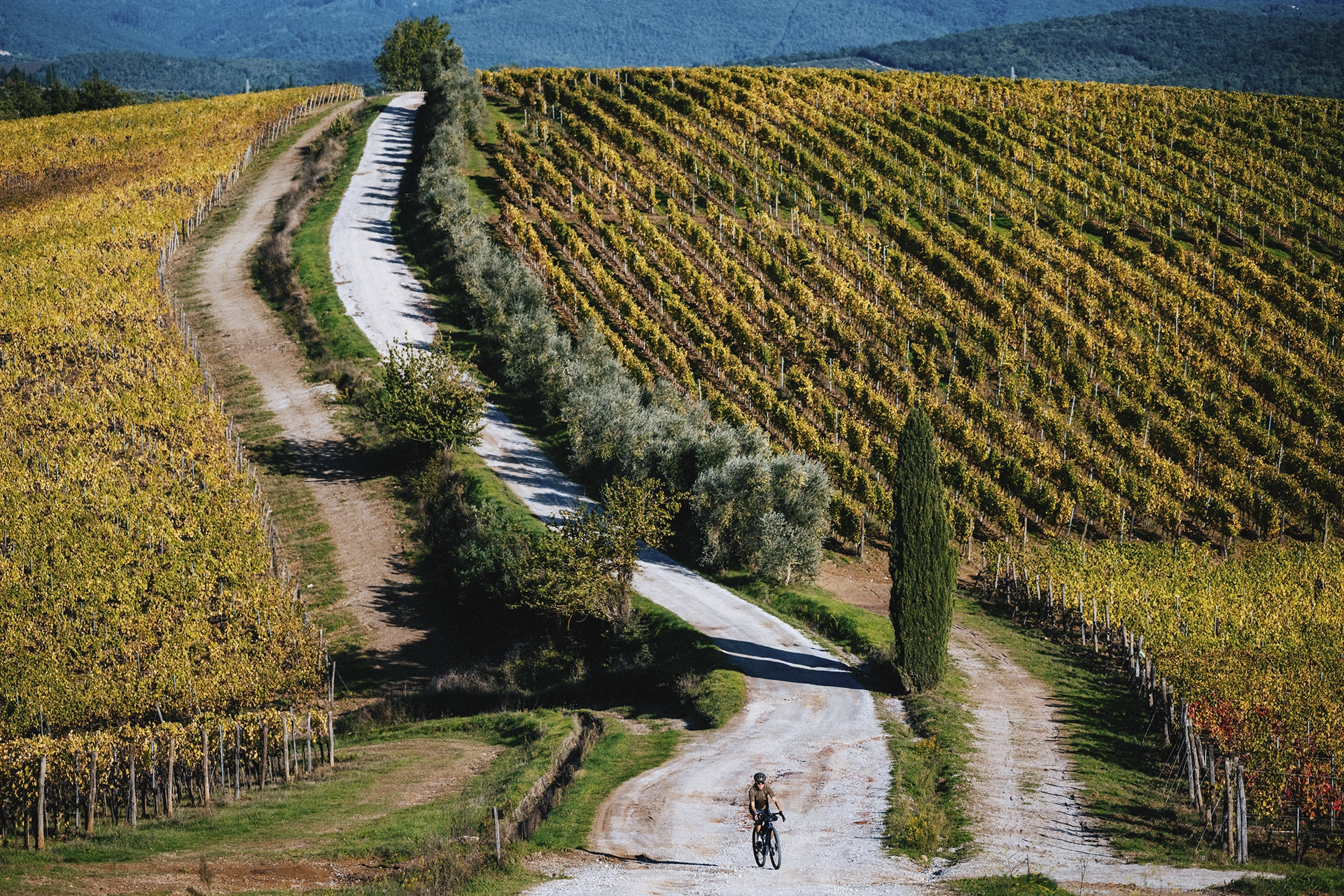 Cannondale Topstone - A következő generáció