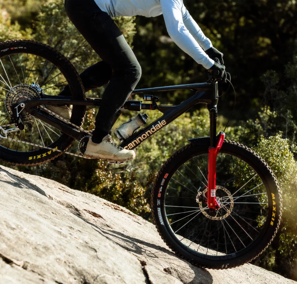 Veleszületett ösztön