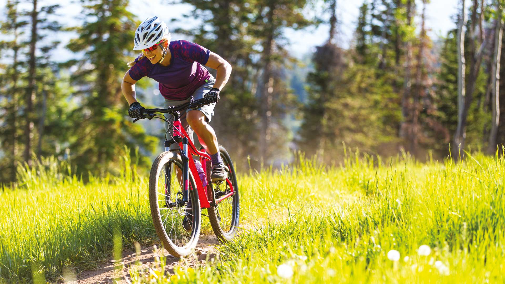 cannondale tango 2017