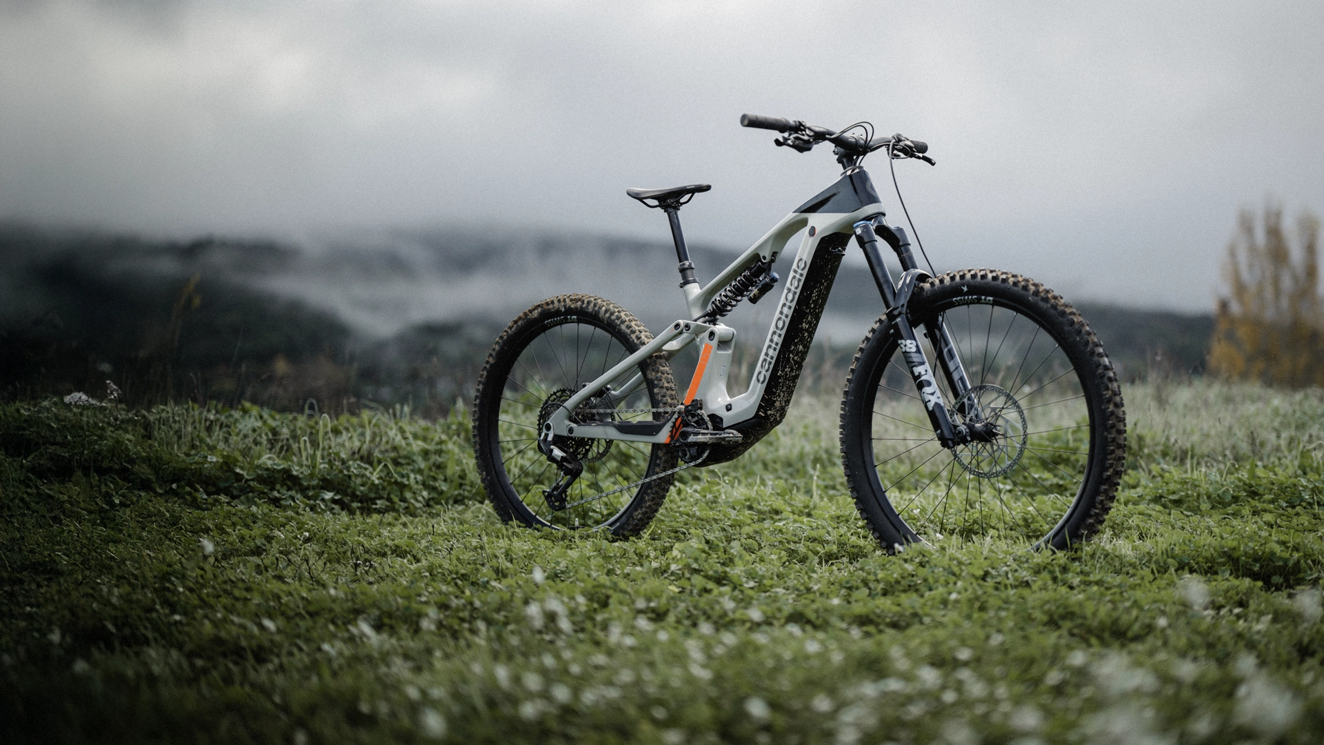 Moterra Carbon LT 2