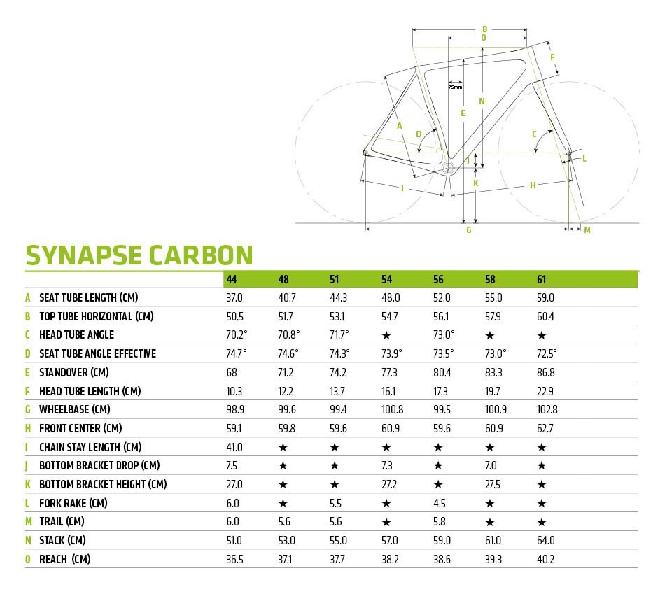 Synapse Carbon Disc Apex 1 SE - 