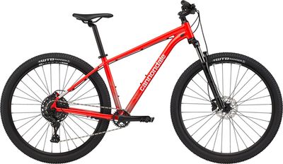 Trail 5 - 