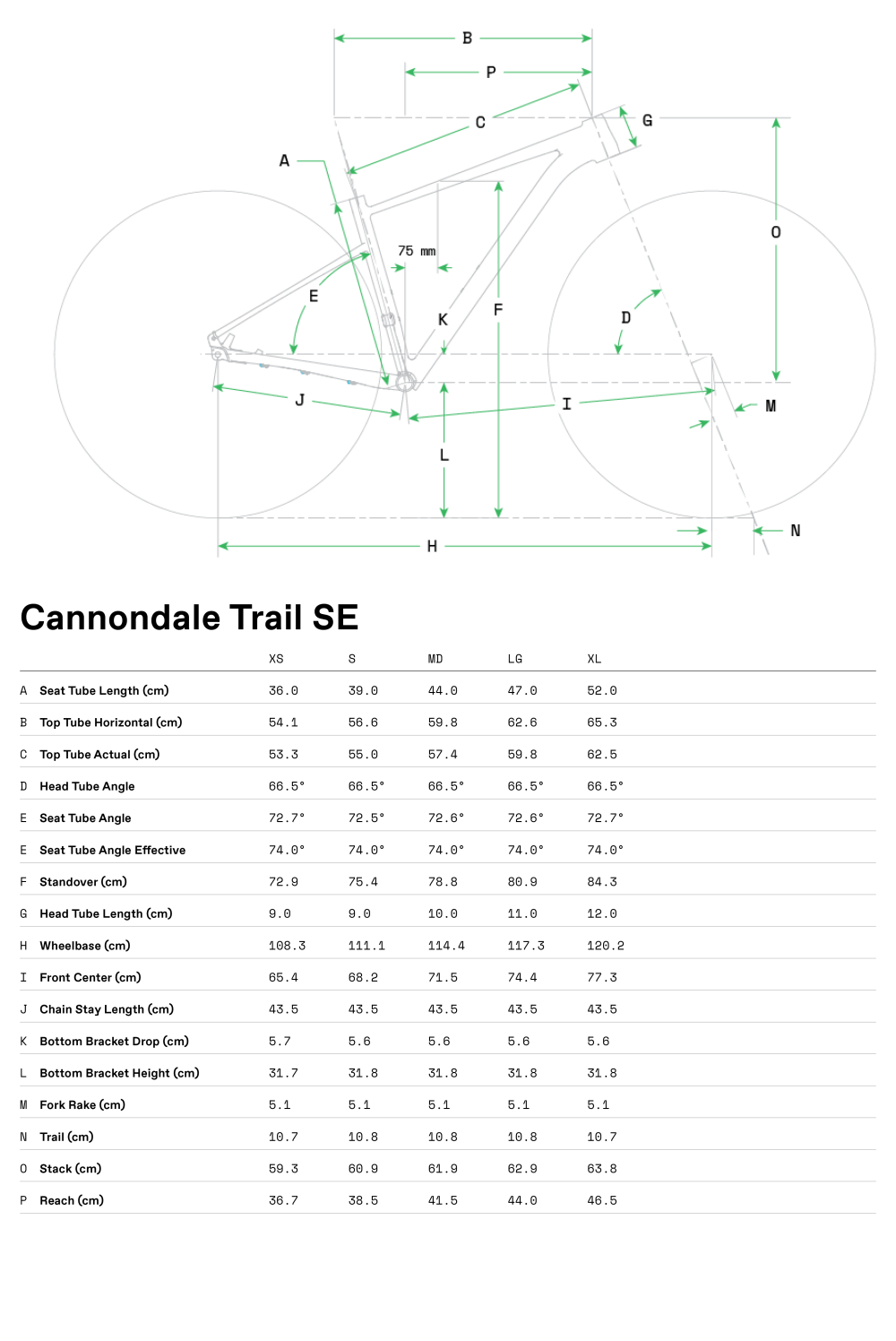Trail SE 3 - Geometria