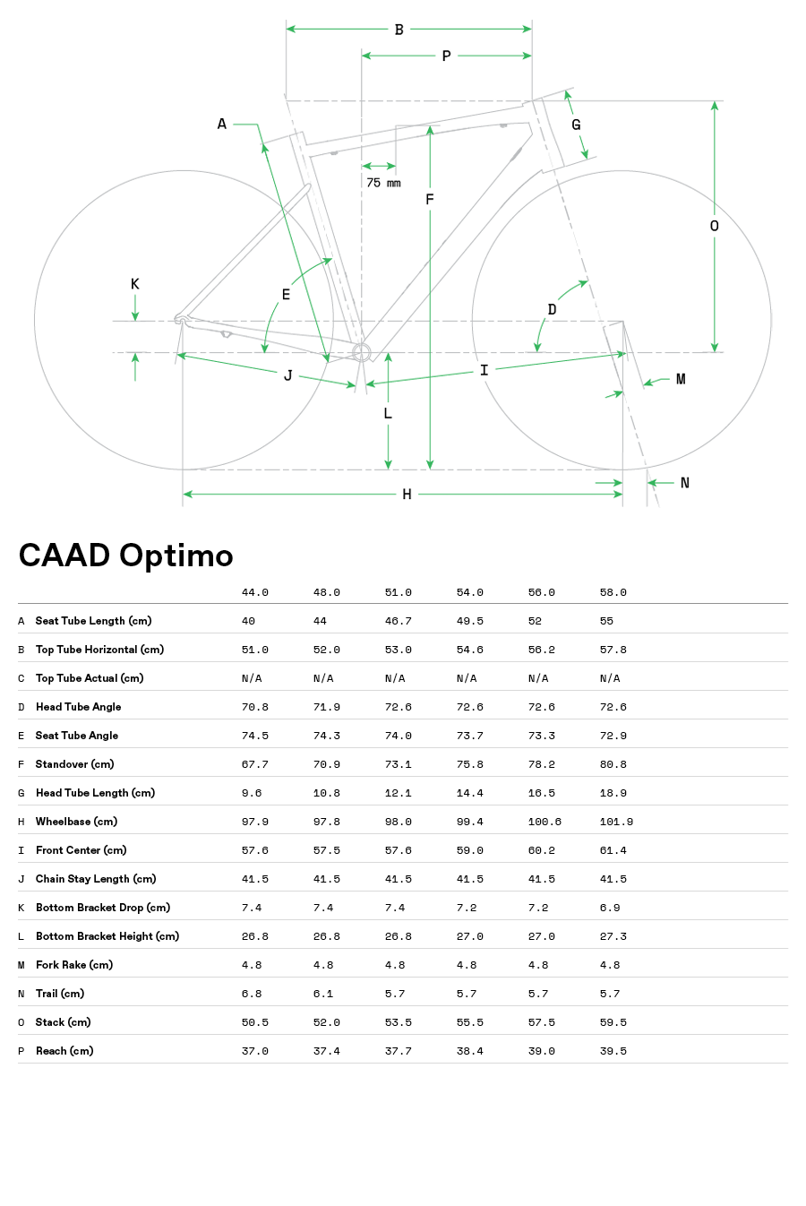 CAAD Optimo 2 - Geometria