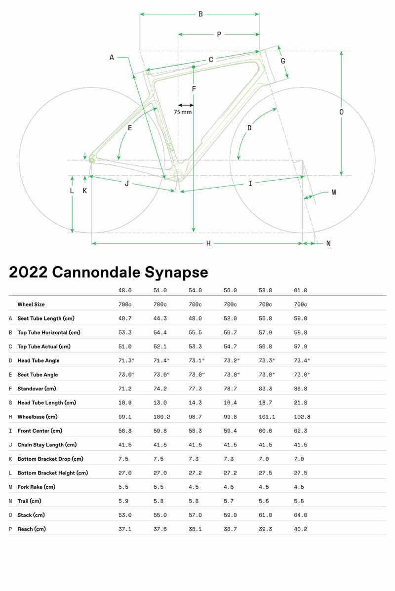 Synapse Carbon 2 RL - Geometria