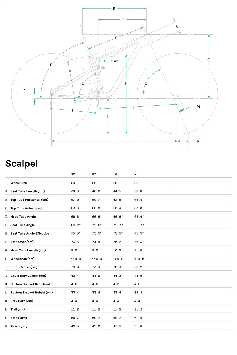 Scalpel 3 - Geometria