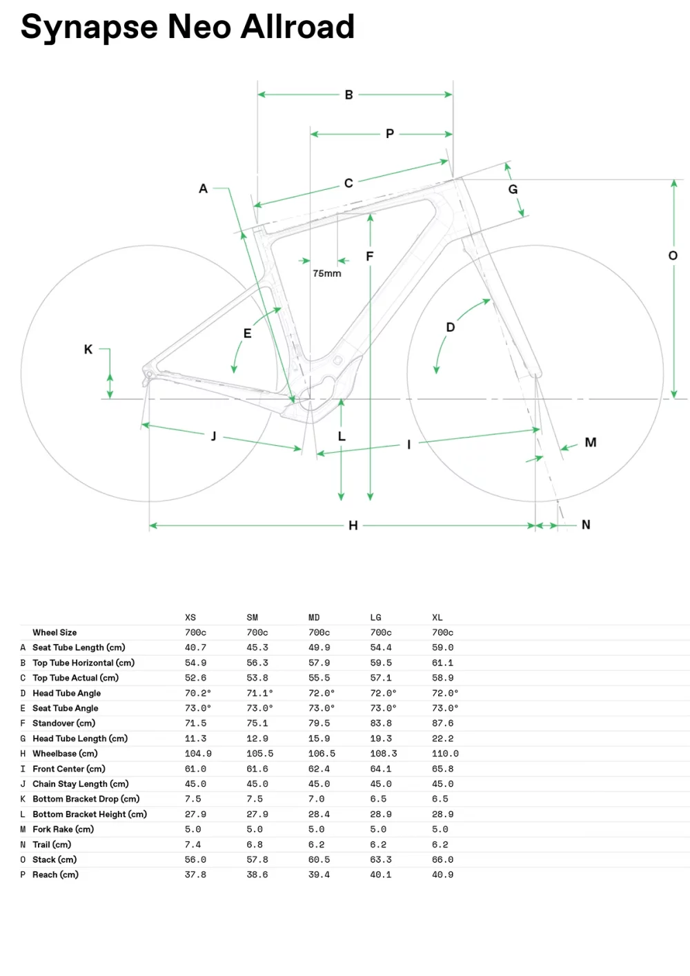 Synapse Neo Allroad 2 - Geometria