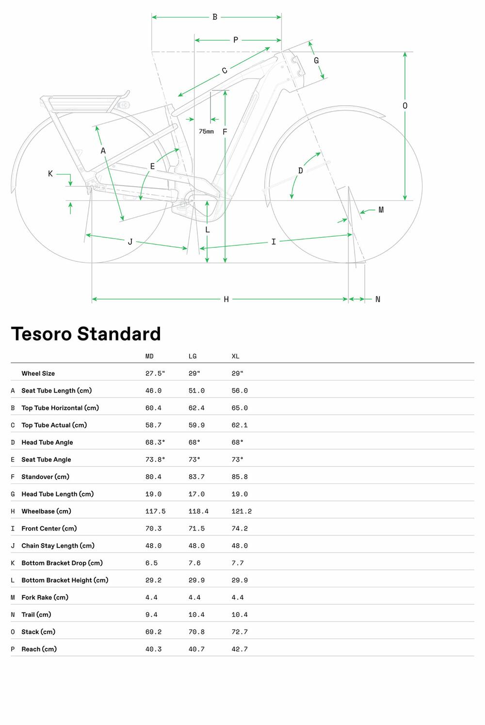 Tesoro 1 - Geometria