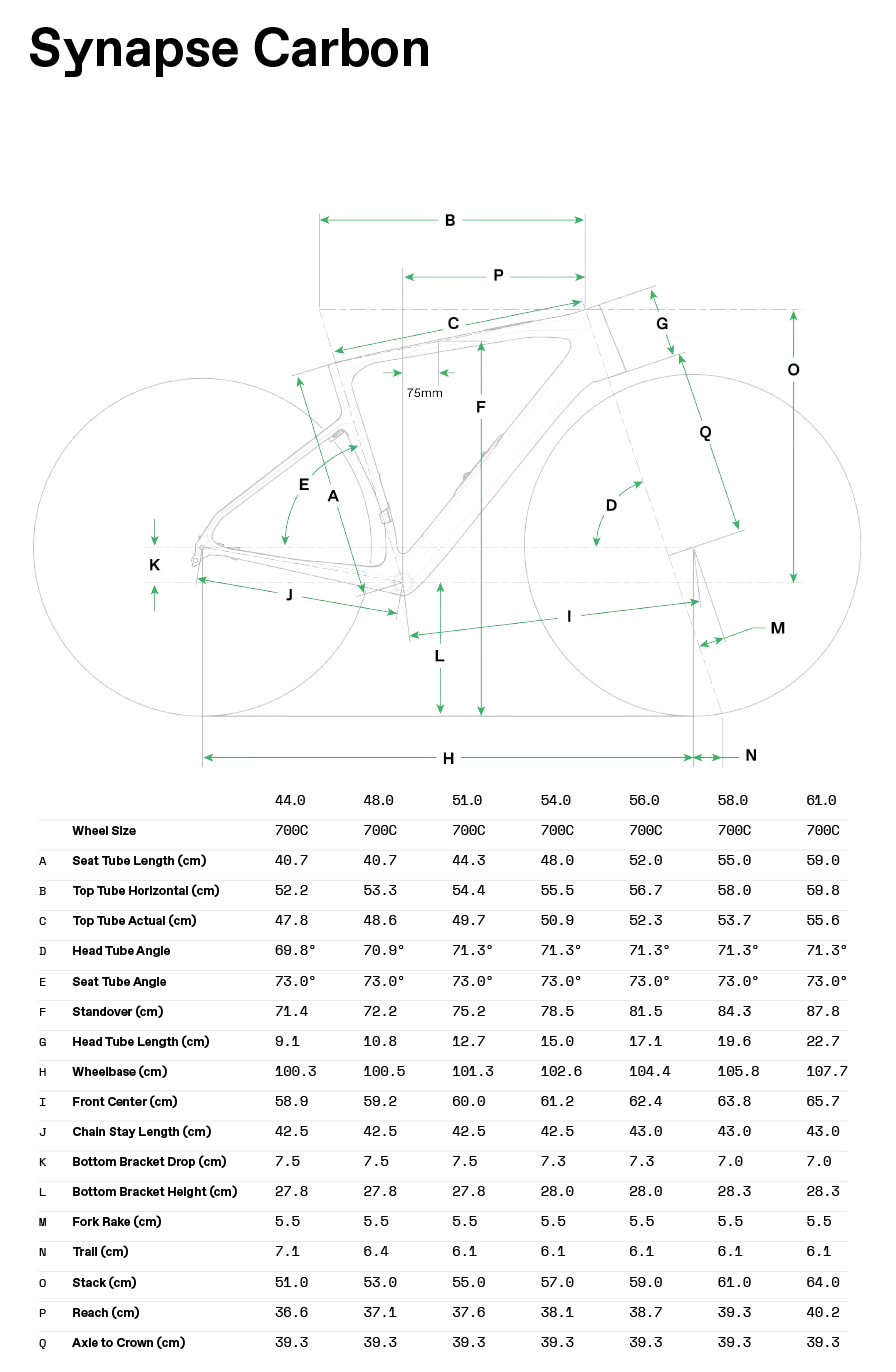 Synapse Carbon 1 - Geometria