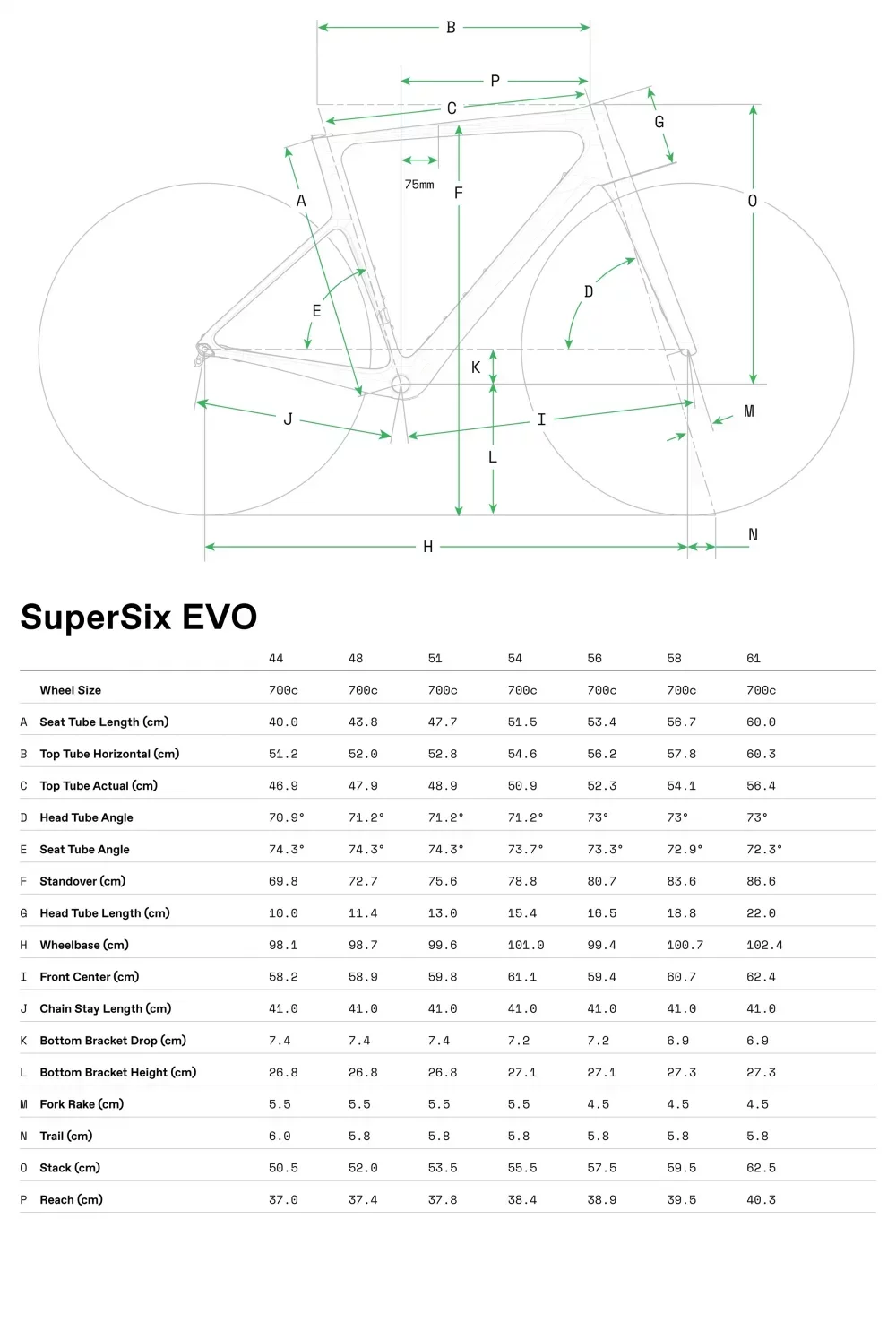 SuperSix EVO 6 - Geometria