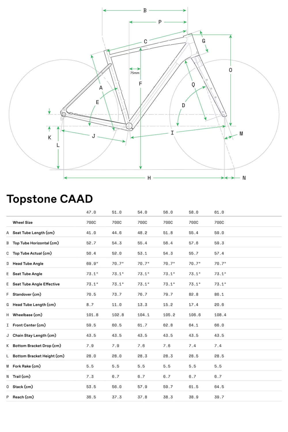 Topstone CAAD 3 CUES Flat Bar - Geometria