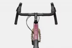 Topstone Carbon Apex 1 - Quicksand