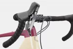 Topstone Carbon Apex 1 - Quicksand