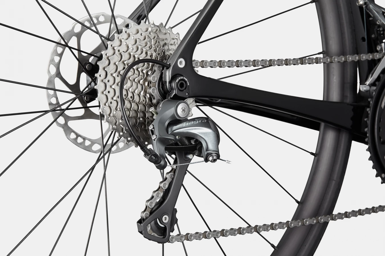 Synapse Carbon 4 - Cashmere