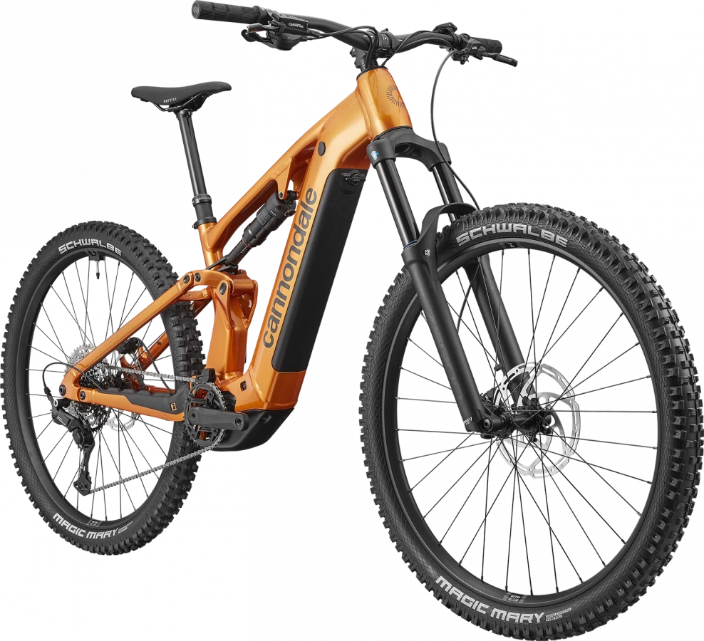 Moterra 4+ - Tiger Eye