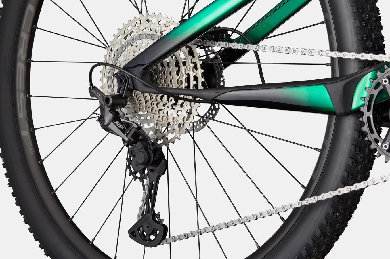 Scalpel Carbon 4 - Jungle Green