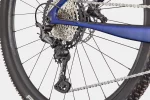Scalpel HT Carbon 2 - Tinted Blue