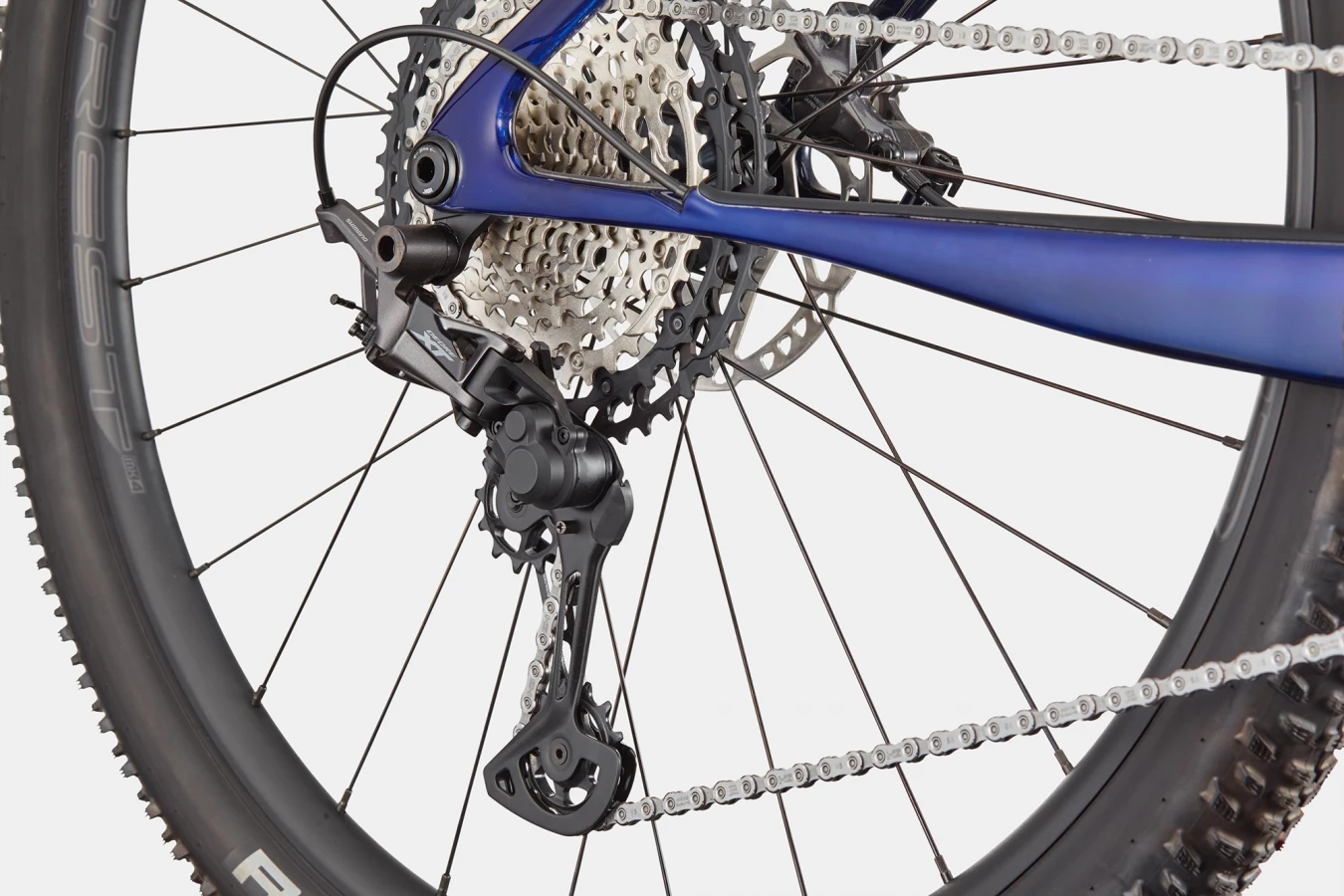 Scalpel HT Carbon 2 - Tinted Blue