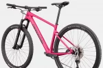 Scalpel HT Carbon 4 - Orchid