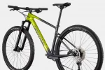 Scalpel HT Carbon 4 - Viper Green