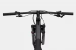Scalpel HT Carbon 4 - Black Pearl