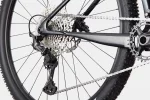 Scalpel HT Carbon 4 - Black Pearl