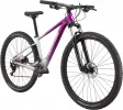 Trail Women's SL 4 - Purple