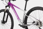 Trail Women's SL 4 - Purple
